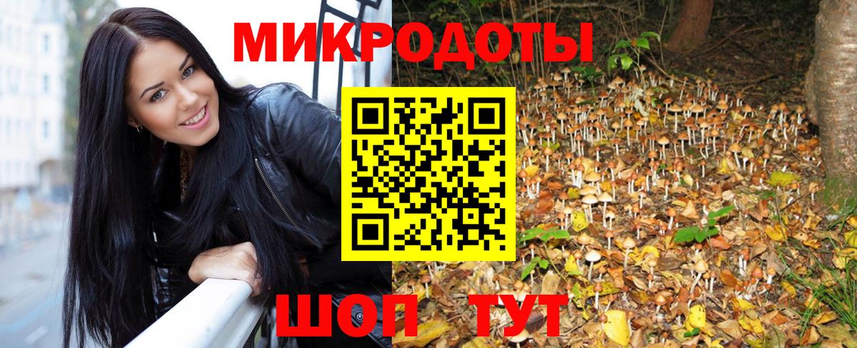 Псилоцибиновые грибы Psilocybine cubensis Свободный
