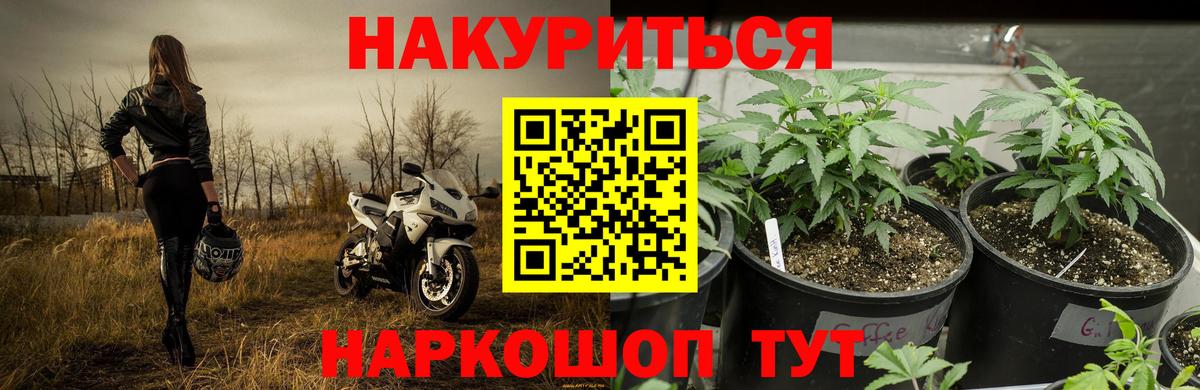 Бошки Шишки Amnesia  Каннабис план  Вход с VPN  Каннабис план  Свободный 